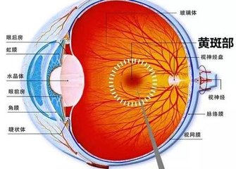 黃斑變性是怎么回事？黃斑變性的方法？