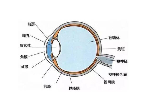 小心！高溫性眼灼傷